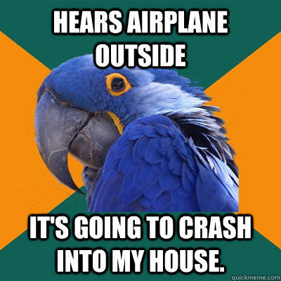 hears airplane outside It's going to crash into my house.  Paranoid Parrot