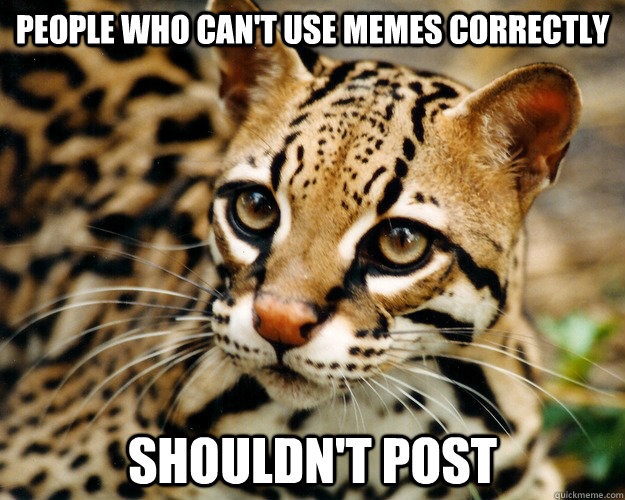 People who can't use memes correctly shouldn't post - People who can't use memes correctly shouldn't post  Misc