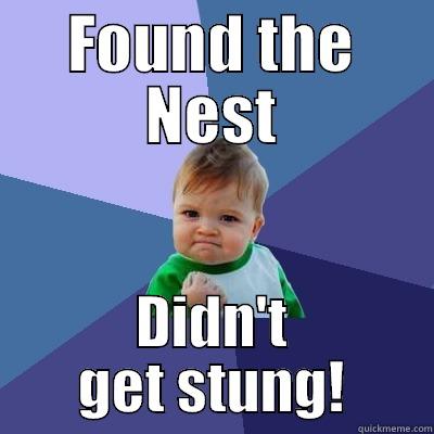 FOUND THE NEST DIDN'T GET STUNG! Success Kid