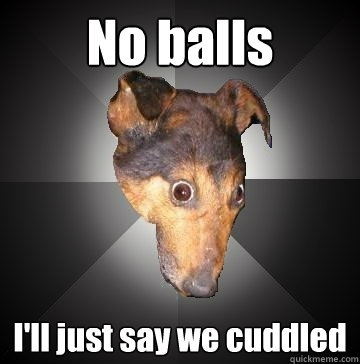 No balls I'll just say we cuddled  Depression Dog