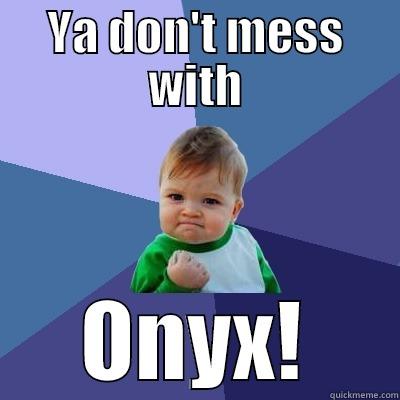 YA DON'T MESS WITH ONYX! Success Kid