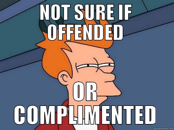 NOT SURE IF OFFENDED OR COMPLIMENTED Futurama Fry