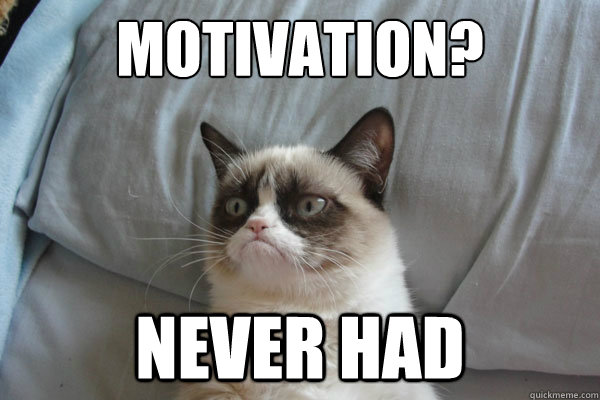 Motivation? Never had - Motivation? Never had  Grumpy Cat 2