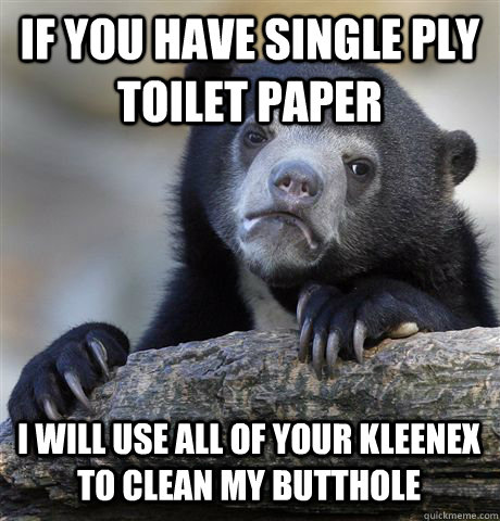 IF YOU have single ply toilet paper i will use all of your kleenex to clean my butthole - IF YOU have single ply toilet paper i will use all of your kleenex to clean my butthole  Confession Bear