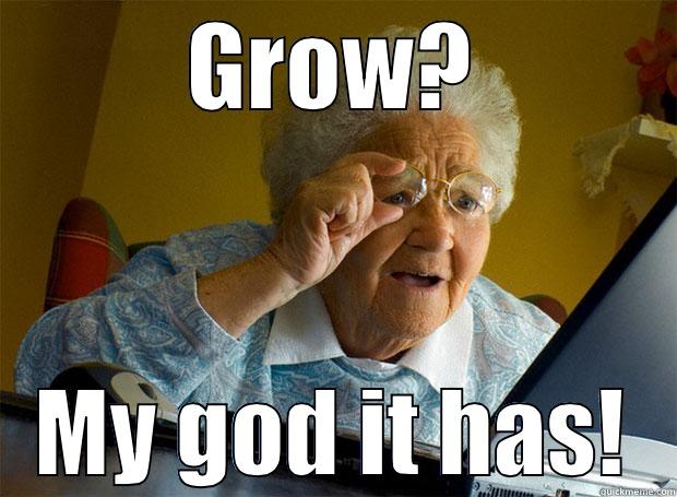 GROW? MY GOD IT HAS! Grandma finds the Internet