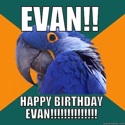 EVAN!! HAPPY BIRTHDAY EVAN!!!!!!!!!!!!!! Paranoid Parrot