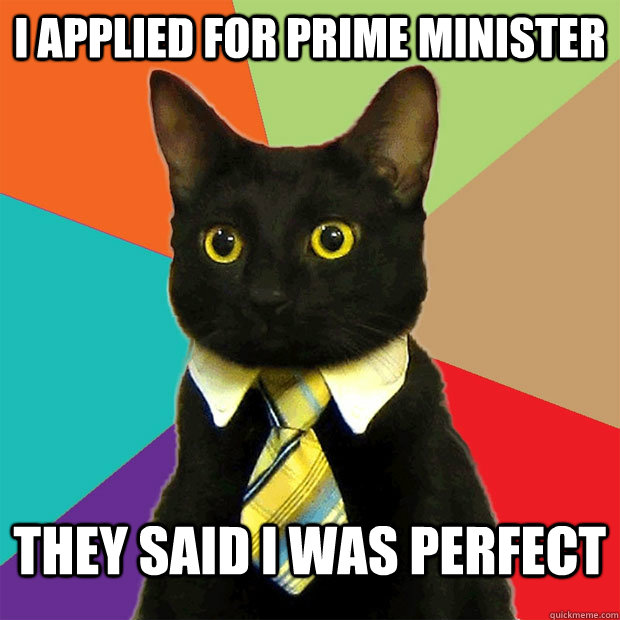 i applied for prime minister THEY SAID I WAS PERFECT  Business Cat