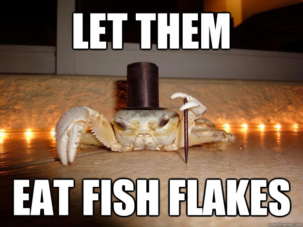 let them eat fish flakes  Fancy Crab