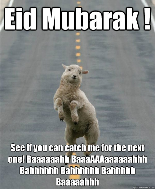 Eid Mubarak ! See if you can catch me for the next one! Baaaaaahh BaaaAAAaaaaaahhh   Bahhhhhh Bahhhhhh Bahhhhh Baaaaahhh
  Happiest Sheep in the World