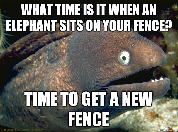 What time is it when an elephant sits on your fence? Time to get a new fence  Bad Joke Eel