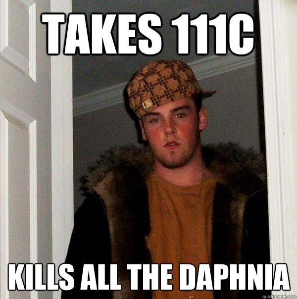 takes 111c kills all the daphnia  Scumbag Steve