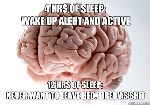 4 hrs of sleep:
 wake up alert and active 12 hrs of sleep:
 never want to leave bed, tired as shit  Scumbag Brain