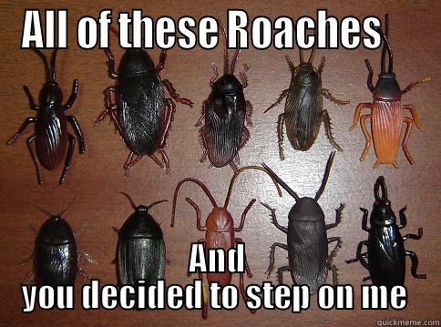 Why me?!?!?!!? - ALL OF THESE ROACHES     AND YOU DECIDED TO STEP ON ME  Misc