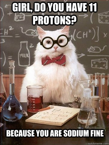 Girl, Do you have 11 protons? Because you are sodium fine  Chemistry Cat