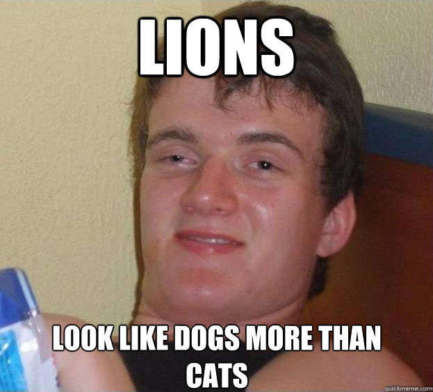 Lions look like dogs more than cats  - Lions look like dogs more than cats   The High Guy