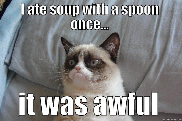 I ATE SOUP WITH A SPOON ONCE... IT WAS AWFUL Grumpy Cat