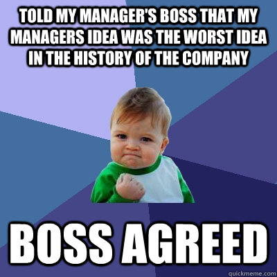 told my manager's boss that my managers idea was the worst idea in the history of the company Boss agreed  Success Kid