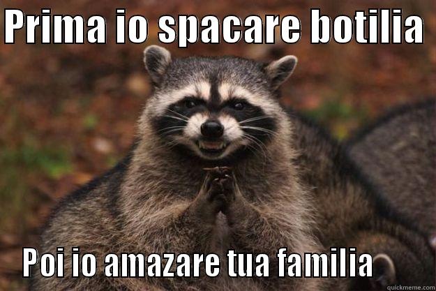 PRIMA IO SPACARE BOTILIA  POI IO AMAZARE TUA FAMILIA       Evil Plotting Raccoon