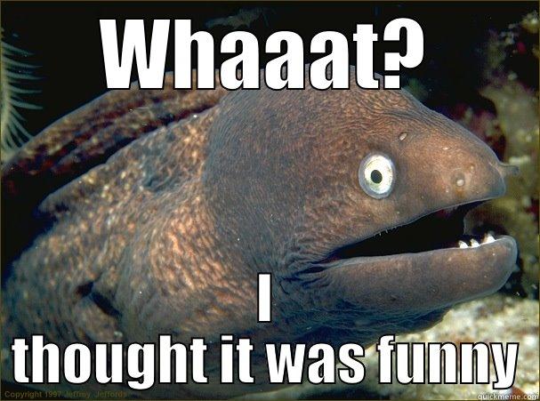 WHAAAT? I THOUGHT IT WAS FUNNY Bad Joke Eel