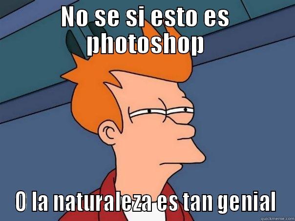 NO SE SI ESTO ES PHOTOSHOP O LA NATURALEZA ES TAN GENIAL Futurama Fry