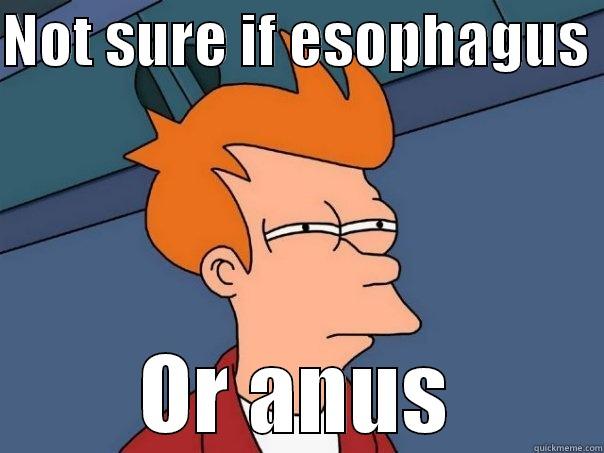 NOT SURE IF ESOPHAGUS  OR ANUS Futurama Fry