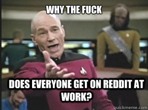 why the fuck does everyone get on reddit at work? - why the fuck does everyone get on reddit at work?  Annoyed Picard