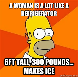 a woman is a lot like a refrigerator 6ft tall, 300 pounds... makes ice  Advice Homer