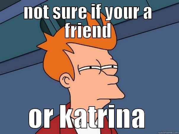 haters gonna hate - NOT SURE IF YOUR A FRIEND OR KATRINA Futurama Fry