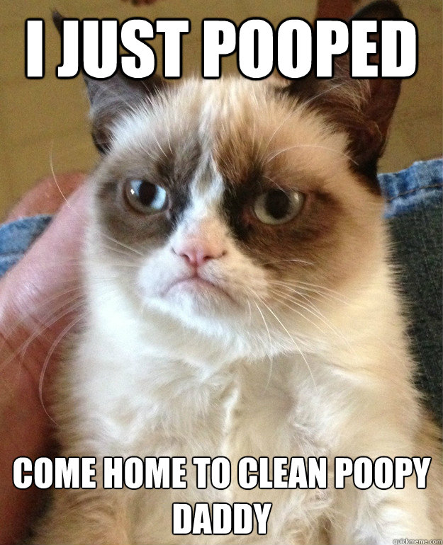 i just pooped come home to clean poopy
daddy  Grumpy Cat