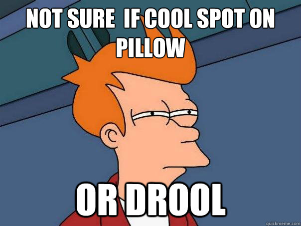 Not sure  if cool spot on pillow Or drool  Futurama Fry