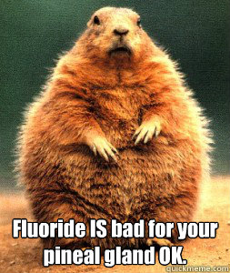  Fluoride IS bad for your pineal gland OK. -  Fluoride IS bad for your pineal gland OK.  Misc