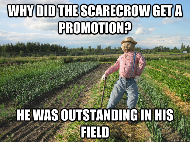 why did the scarecrow get a promotion? He was outstanding in his field  Scarecrow