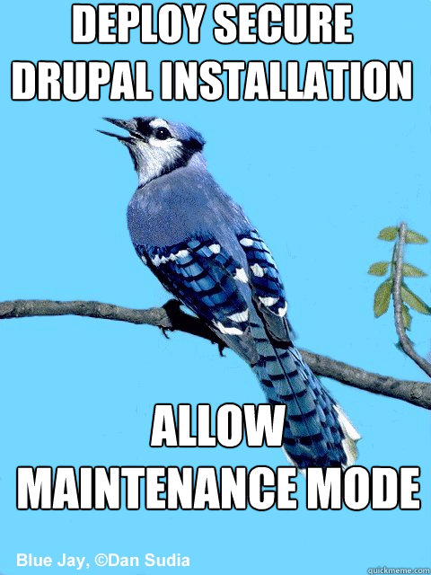 deploy secure drupal installation allow maintenance mode  Blue Team Bird