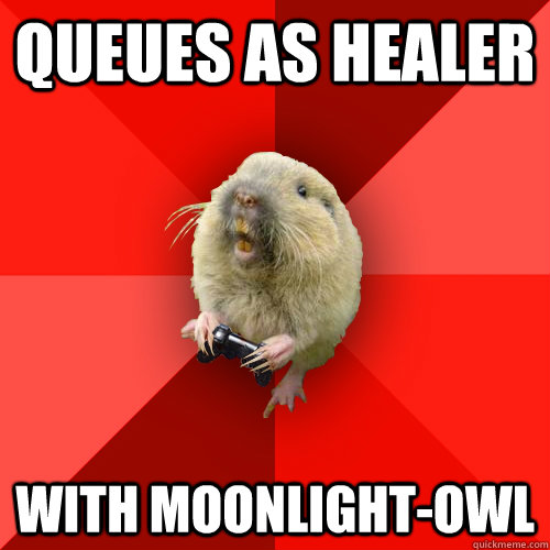 queues as healer with moonlight-owl  Gaming Gopher