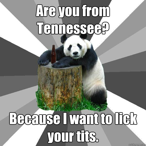 Are you from Tennessee? Because I want to lick your tits.  Pickup-Line Panda