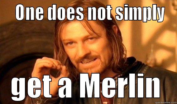   ONE DOES NOT SIMPLY GET A MERLIN One Does Not Simply