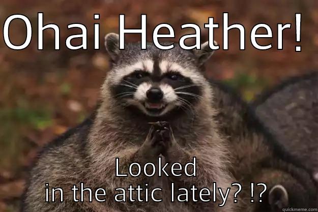 your mom - OHAI HEATHER!  LOOKED IN THE ATTIC LATELY? !? Evil Plotting Raccoon