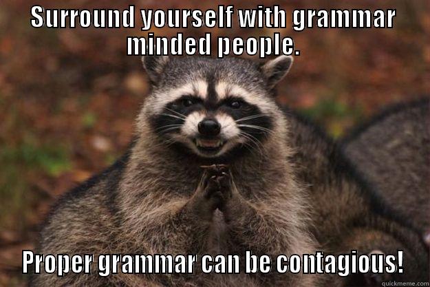 SURROUND YOURSELF WITH GRAMMAR MINDED PEOPLE. PROPER GRAMMAR CAN BE CONTAGIOUS! Evil Plotting Raccoon