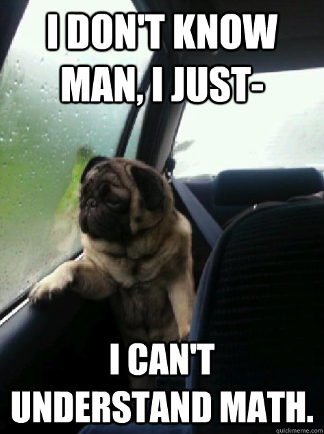 I don't know man, I just- I can't understand math.  Introspective Pug