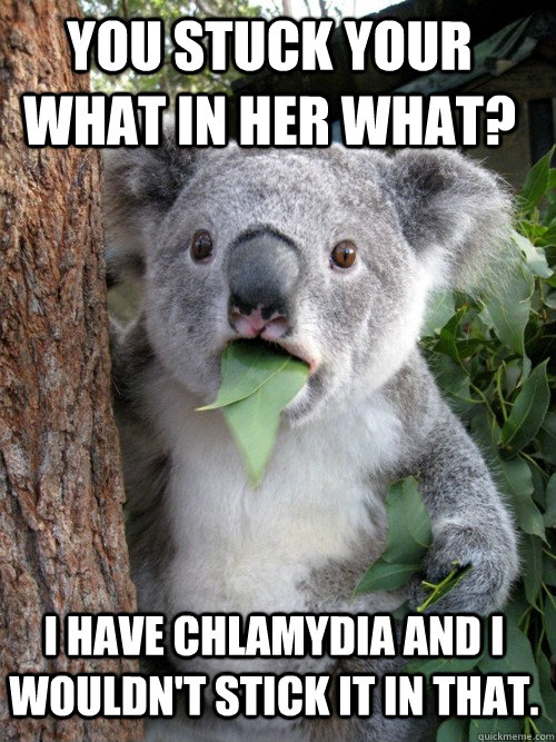 You stuck your what in her what?  I have chlamydia and I wouldn't stick it in that.  - You stuck your what in her what?  I have chlamydia and I wouldn't stick it in that.   koala bear