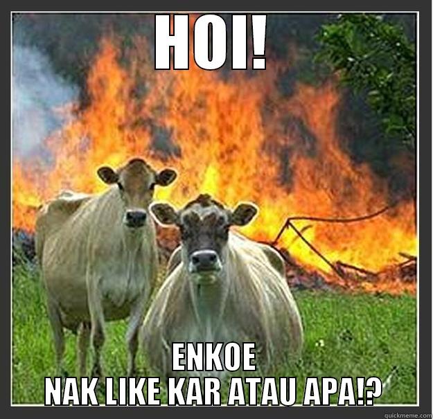 HOI! ENKOE NAK LIKE KAR ATAU APA!? Evil cows