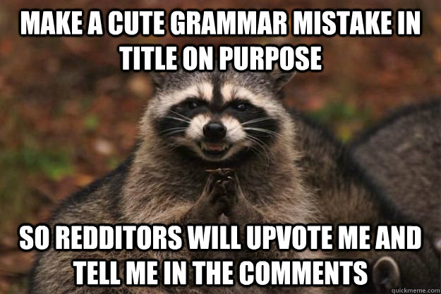 Make a cute grammar mistake in title on purpose so redditors will upvote me and tell me in the comments  - Make a cute grammar mistake in title on purpose so redditors will upvote me and tell me in the comments   Evil Plotting Raccoon