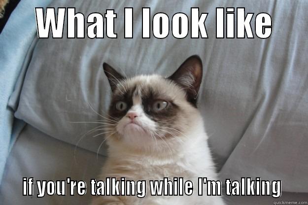 talking students -      WHAT I LOOK LIKE        IF YOU'RE TALKING WHILE I'M TALKING   Grumpy Cat