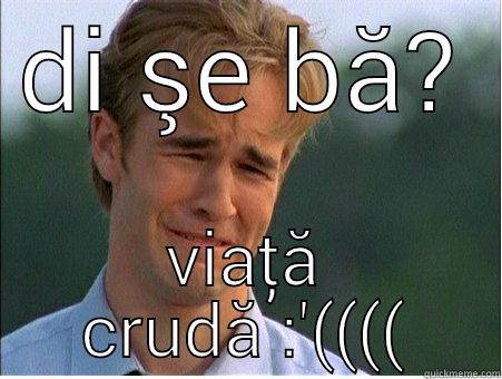 DI ŞE BĂ? VIAȚĂ CRUDĂ :'(((( 1990s Problems