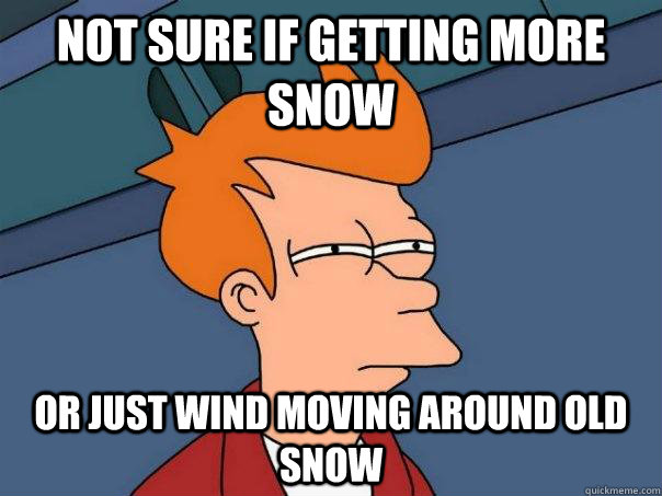 Not sure if getting more snow or just wind moving around old snow  Futurama Fry