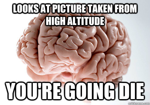 looks at picture taken from high altitude YOU'RE GOING DIE  Scumbag Brain