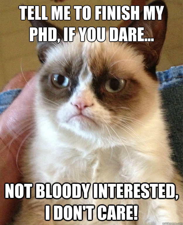 Tell me to finish my phd, if you dare... Not bloody interested, I don't care!  Grumpy Cat