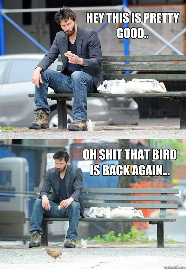 Hey this is pretty good.. oh shit that bird 
is back again...  Sad Keanu