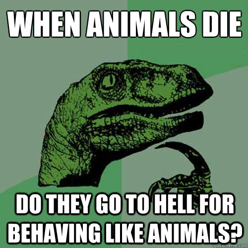 When animals die do they go to hell for behaving like animals? - When animals die do they go to hell for behaving like animals?  Philosoraptor