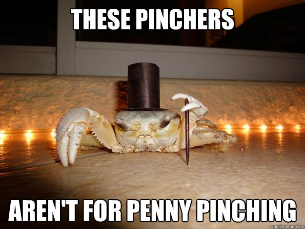 these pinchers aren't for penny pinching  Fancy Crab